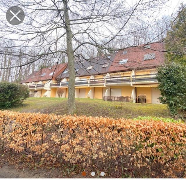 Le Cottage Pres Obernai Klingenthal エクステリア 写真